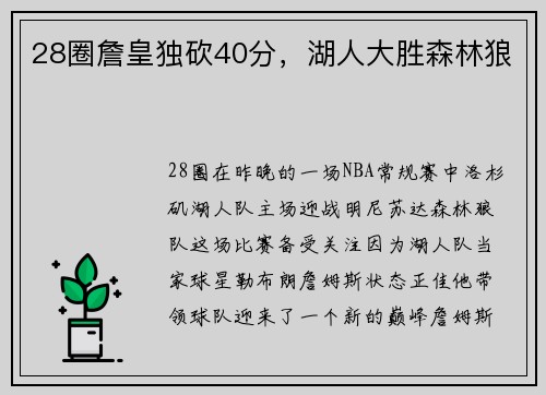 28圈詹皇独砍40分，湖人大胜森林狼
