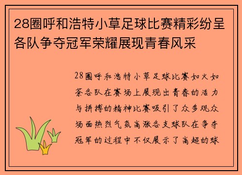28圈呼和浩特小草足球比赛精彩纷呈各队争夺冠军荣耀展现青春风采